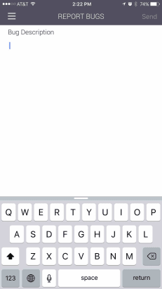 Report bug window on the iOS app